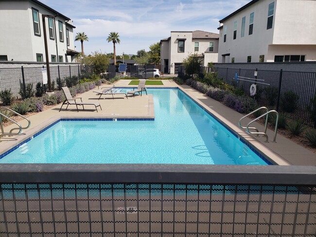 community pool - 4362 E Berkeley Rd