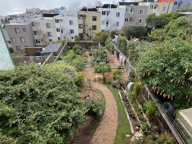 Backyard - 557 42nd Ave