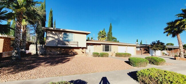 Building Photo - 2917 Brady Pl