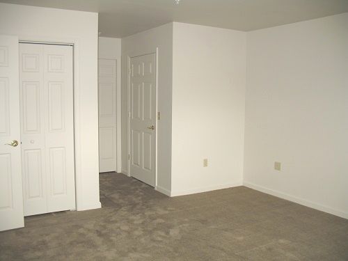 Master Bedroom - 501 Mattern Orchard Dr