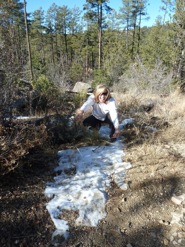 Apartments For Rent in Prescott, AZ 150 Rentals