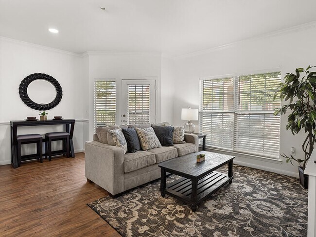 La luz natural inunda el espacio - Avalon at Carlsbad