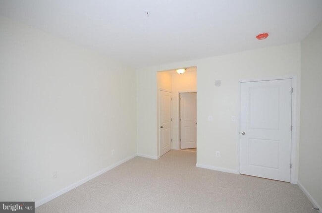 Foto del edificio - 3527 Piney Woods Pl