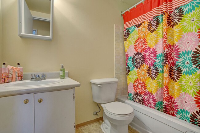 A bathroom with shower, tub, and a mirror above the sink - Tamaron Square