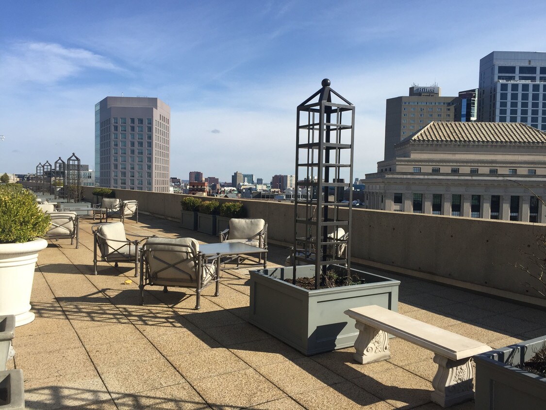 Roofdeck - 255 Massachusetts Ave