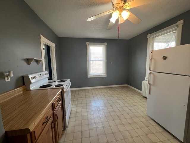 Large Eat in Kitchen - 38 Walnut St