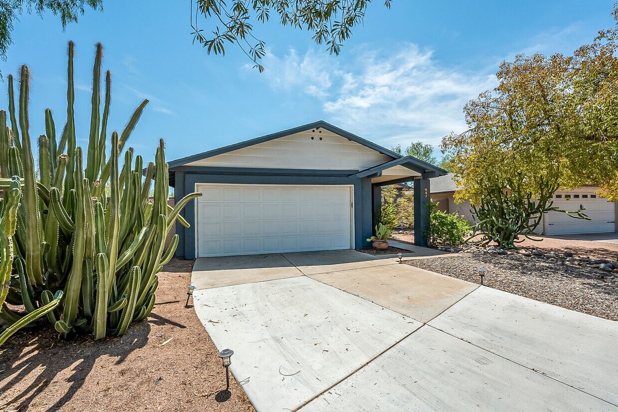 Primary Photo - Ready to Move In - Two Bedrooms/2 Baths/2 ...