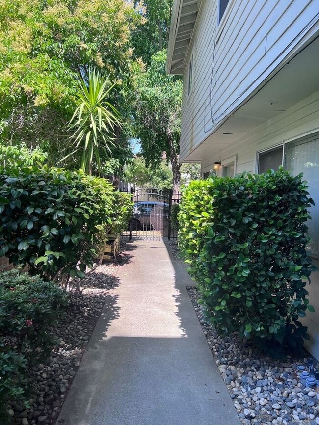 Building Photo - Extra Spacious Upstairs 2 Bedroom in Midtown!