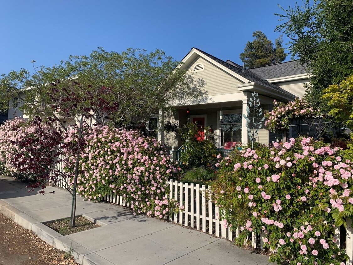 Primary Photo - Fully Furnished or Unfurnished Seabright R...