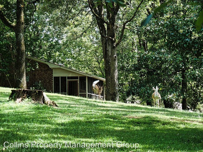 Building Photo - 1173 Holly Dr