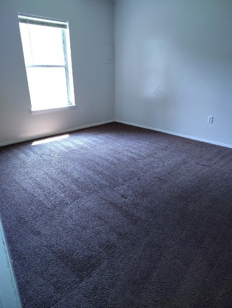 Photo - 4604 Albert Ct (Virginia Beach, VA) Apartment