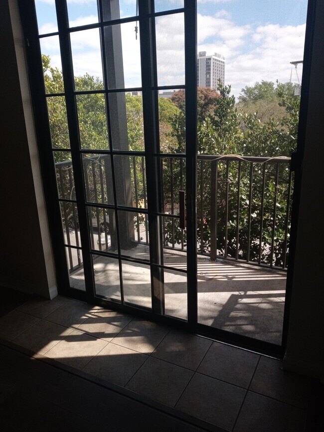 Foto del edificio - Hollywood Condo