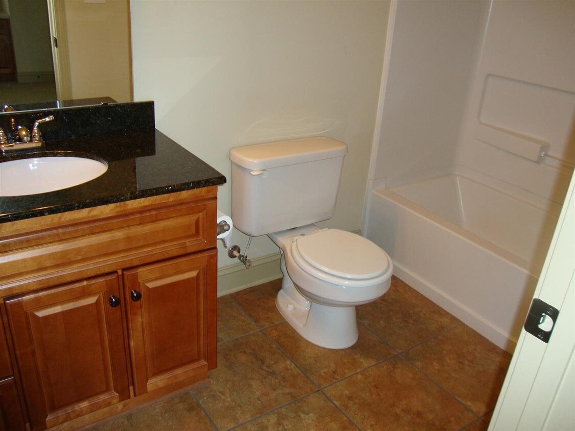 1824 Muscovey Way Unit 1711, Seneca, SC 29678 Condo for Rent in