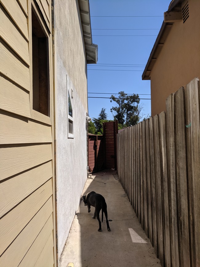 Dog friendly breezeway - 631 Benson Way