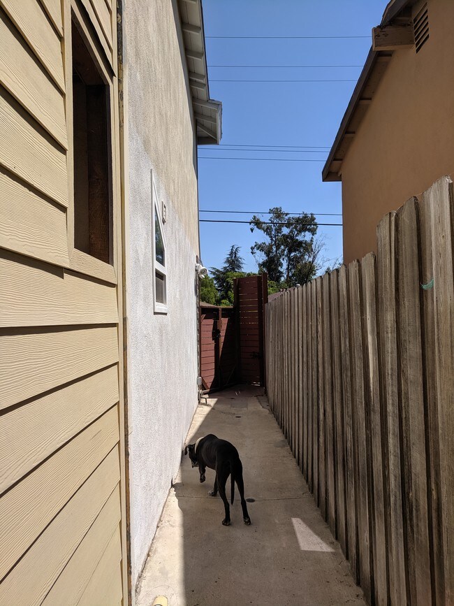 Se admiten perros por corredor - 631 Benson Way