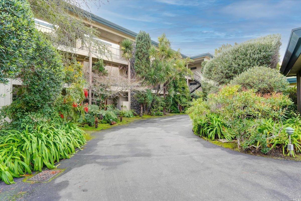 635 S Eliseo Dr Unit 7, Larkspur, CA 94904 Condo for Rent in Larkspur