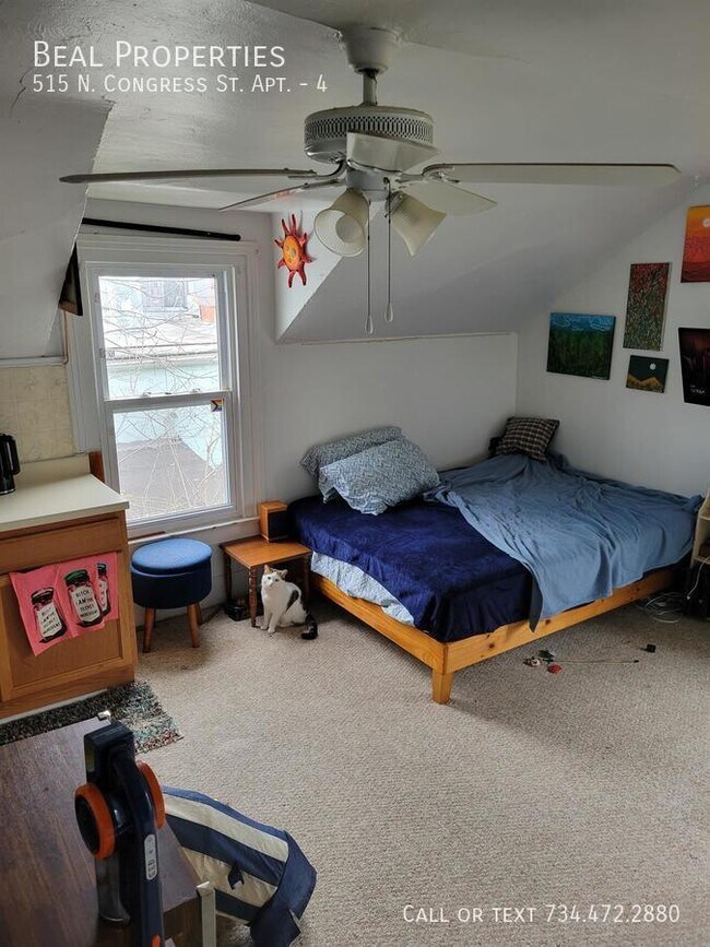 515 Congress St Unit 4, Ypsilanti, MI 48197 Room for Rent in