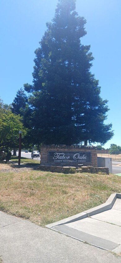 Primary Photo - Tabor Oaks