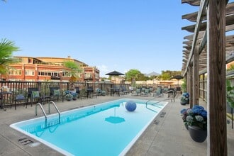 Salt Water Oasis - Luxe at Union Hill