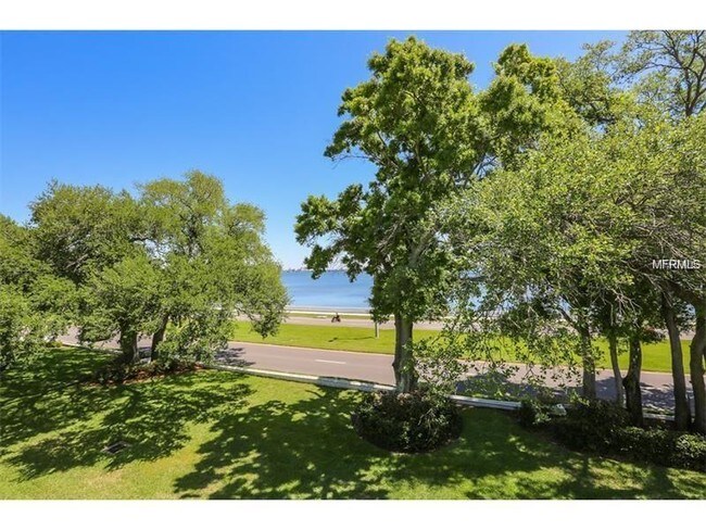 Building Photo - 3325 Bayshore Blvd
