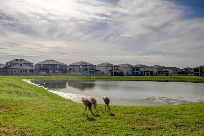 Foto del edificio - 9542 Seagrass Port Pass