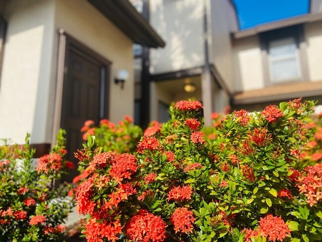 Building Photo - 1br/1ba Wimbledon Condo with Tile Floors a...
