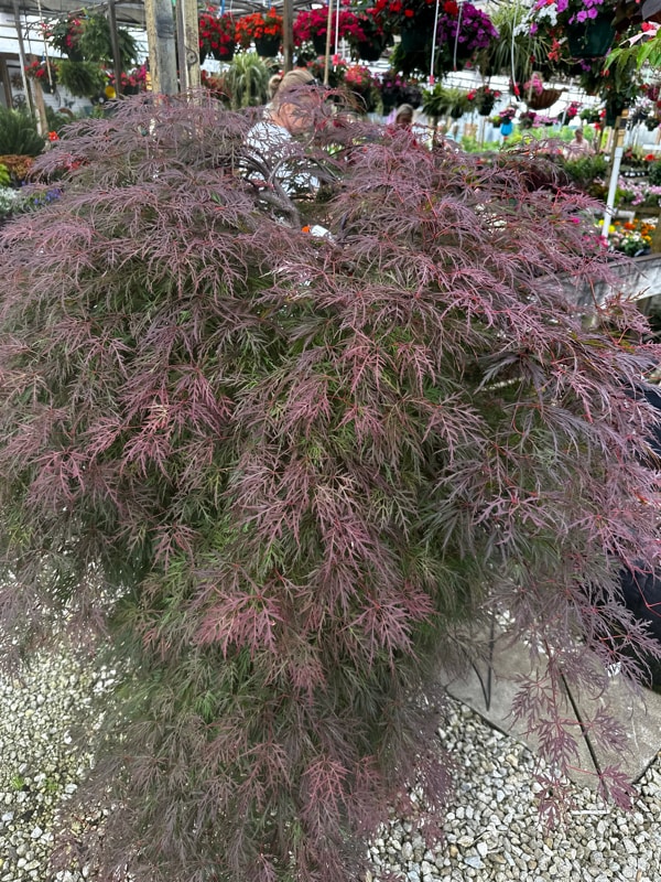 Building Photo - 730 Symmes Rd