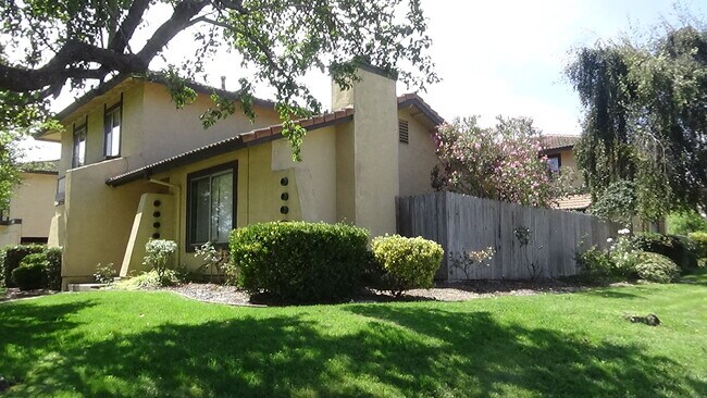 Side Yard - 1117 Seabreeze Way