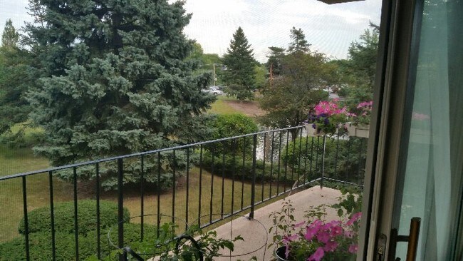 Mira desde el balcón - 18 E Old Willow Rd