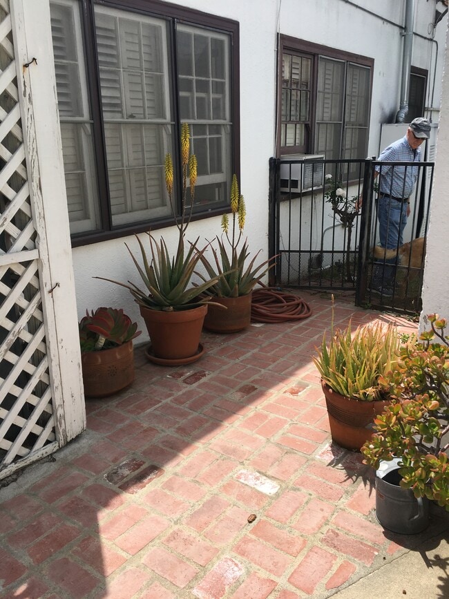 Outside back yard - 10341 Dunkirk Ave