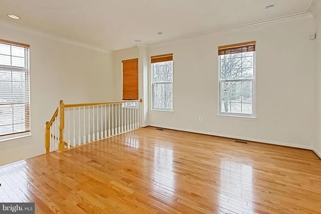 Main Level - 46218 Walpole Ter