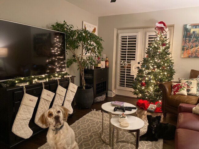 Building Photo - 227 N Dotger Ave