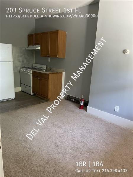 Building Photo - 203 Spruce St