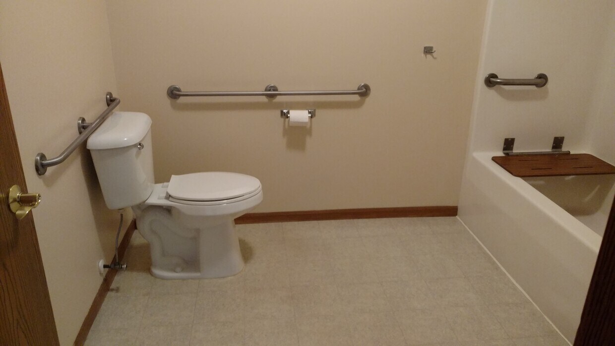 731 Ravine Court, Allegan, MI 49010 Apartments in Allegan, MI