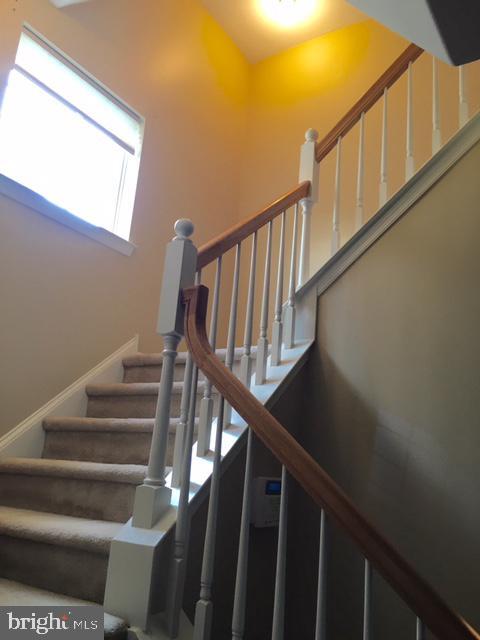 Primary Photo - 642 Fawn Cir