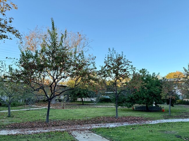 Building Photo - 5560 Village Grn