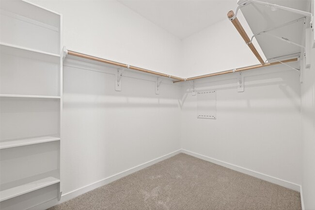 Building Photo - 26518 Wild Stonecrop Ln