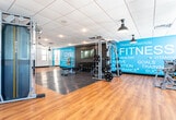Located at 1352 Randolph Road in Plainfield, NJ, this single-floor fitness center is designed to accommodate a comprehensive range of workout activities within a clean, modern environment. The space is organized into distinct functional zones, each tailored to specific training needs.

The cardio area features warm hardwood flooring and is equipped with treadmills, elliptical machines, and rowing machines. Pendant-style industrial lighting hangs from a drop-tile ceiling, lending a contemporary aesthetic, while multiple windows along the perimeter allow natural light to fill the space and provide views of the surrounding area.

The strength training zone transitions to rubberized flooring for safety and functionality, and includes a Smith machine, weight bench, cable stations, and additional resistance equipment. A striking teal accent wall bearing fitness-themed typography — including words like "Strong," "Fit," "Endurance," and "Nutrition" — serves as a bold visual focal point.

A dedicated open-floor studio area, enclosed by glass partition walls, offers a versatile space suitable for group classes, stretching, or functional training. Motivational wall graphics with phrases such as "No Excuses" and "Focus" reinforce the energetic atmosphere throughout. The overall design balances functionality with an inviting, motivating ambiance.
