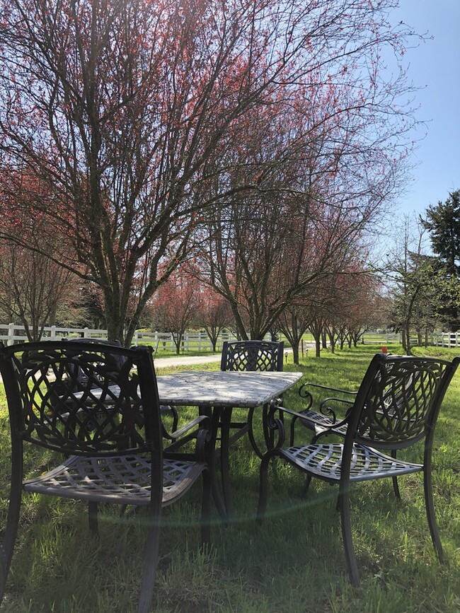 Outdoor common Areas - 6236 Cate Farm Ct SE