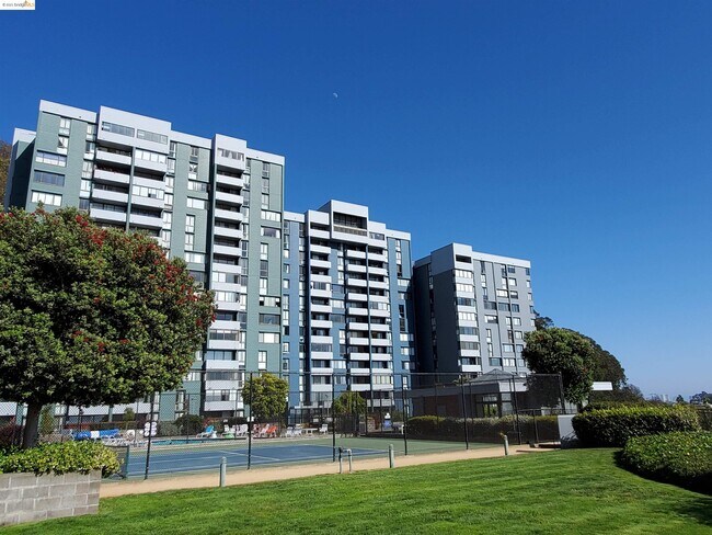 Foto del edificio - 555 Pierce St #709