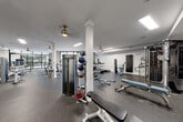 Located on Ponce de Leon Avenue in Atlanta, GA, this fitness center offers a generously sized, single-floor exercise space designed to accommodate a comprehensive workout experience. The room features durable speckled rubber flooring throughout, providing both safety and functionality for a variety of exercise activities.

The space is well-lit with a combination of recessed rectangular ceiling fixtures and warm-toned brass pendant lights, creating a bright and inviting atmosphere. Large floor-to-ceiling windows along one wall flood the room with natural light and offer views of the surrounding outdoor area, enhancing the open, airy feel of the space.

Structural columns are integrated throughout the layout, adding an architectural element while defining distinct workout zones. The strength training area is equipped with a multi-station cable machine, adjustable benches, a medicine ball rack, and a wall-mounted pull-up and functional training station. A dumbbell rack and additional free weight equipment are also present. The cardio section features multiple treadmills, elliptical trainers, and stair climbers.

Wall-mounted mirrors in the strength area allow users to monitor their form, while a mounted flat-screen television adds an entertainment option. Hand sanitizer dispensers and waste bins are conveniently placed throughout. A staircase with a metal railing is visible, suggesting connectivity to an adjacent level or common area.