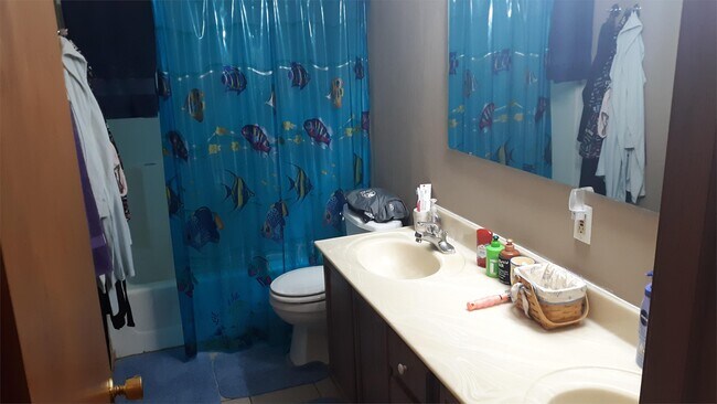 Foto del edificio - 321 Palomino Ln