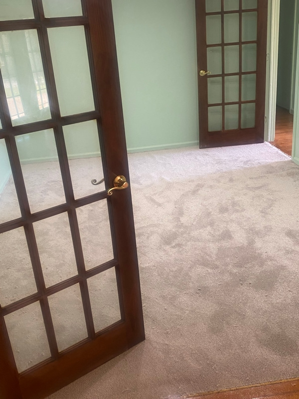 Foto del edificio - 916 Pinecrest Pl NE