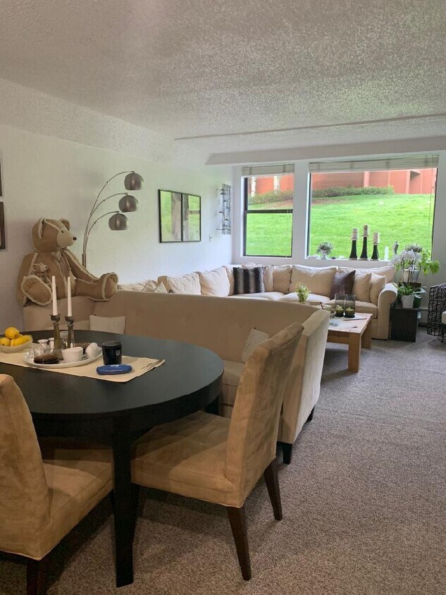 1005 Vine St Unit 1005 Vine Street, Aspen, CO 81611 Condo for Rent in