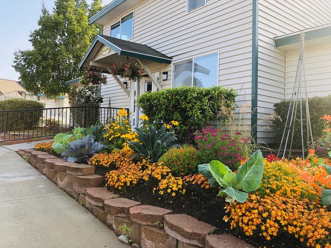 Community Garden - Chester Park Estates