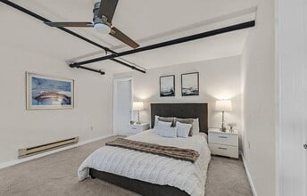 Building Photo - 49 Zoe St