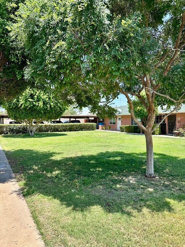 Photo - 1640 W Osborn Rd Apartments