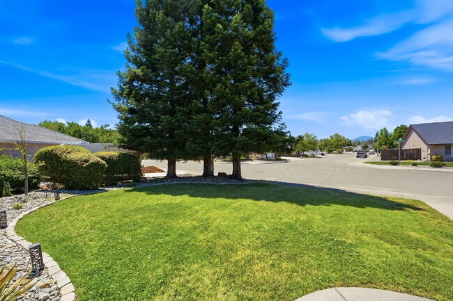 Foto del edificio - Very clean move in ready dog friendly