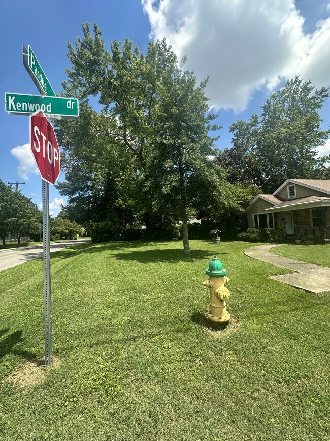 Foto del edificio - 203 Pardue Ln