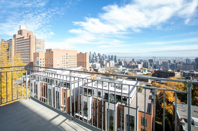 Building Photo - The Cedar Plaza